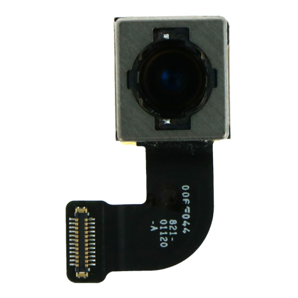 Rücken- /Hauptkamera mit Flexkabel, passend voor iPhone SE (2020)